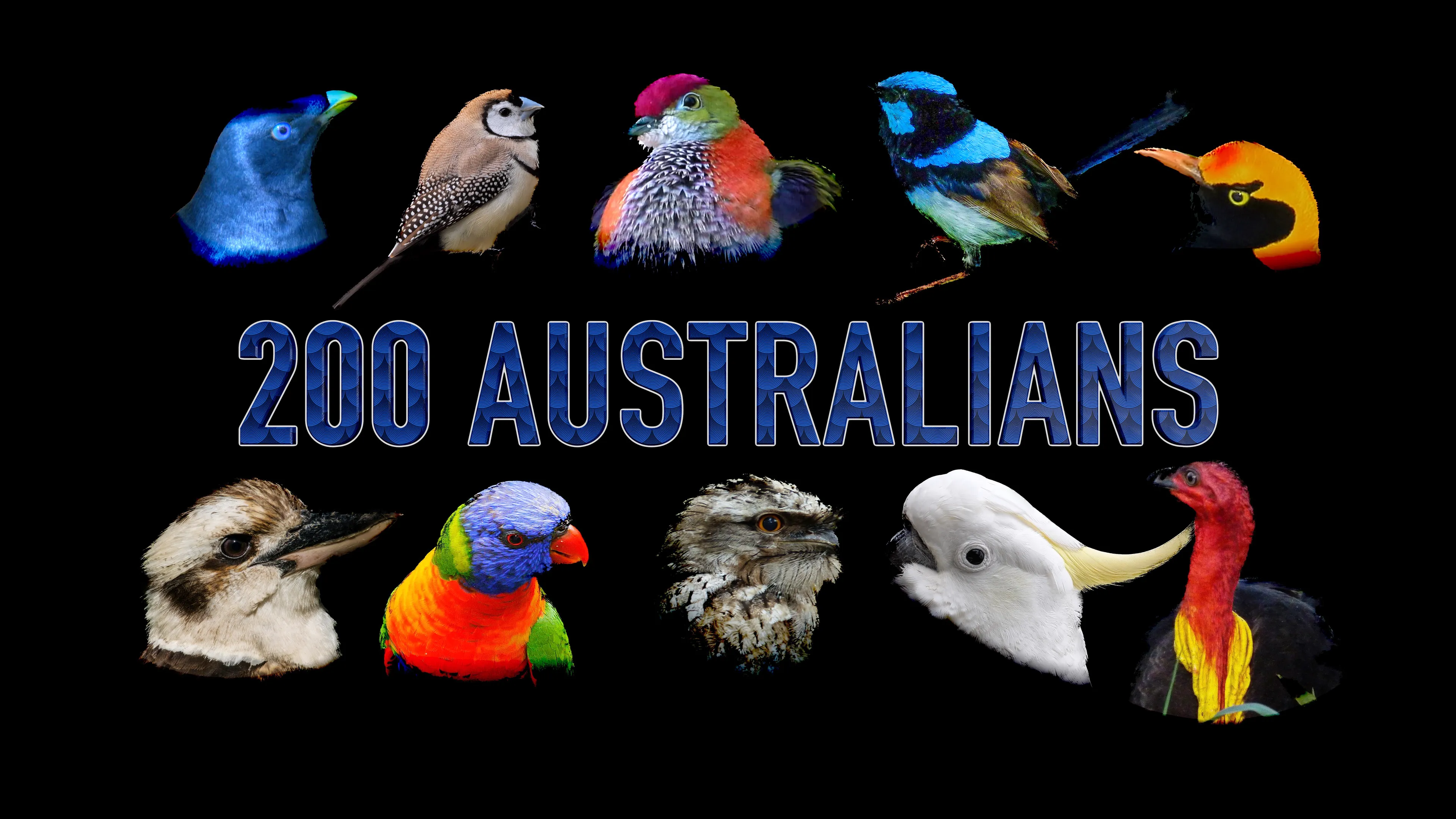 200 Australians poster